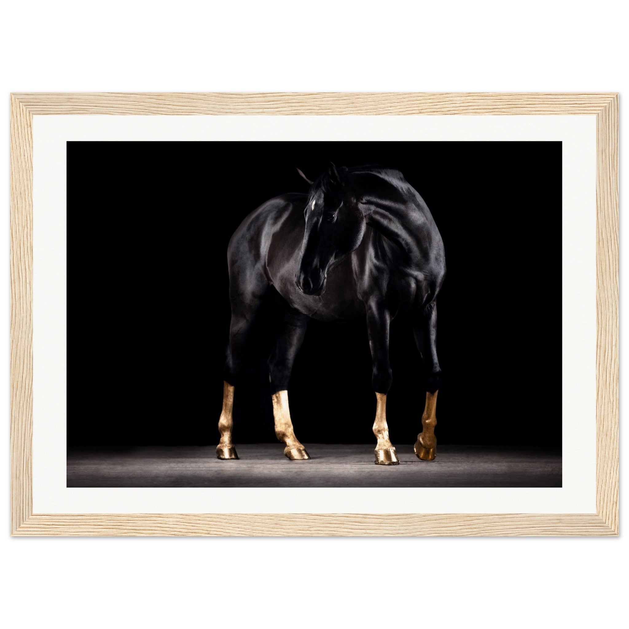 4be35e96-ab26-43ec-8c0f-7b409f98a4e7