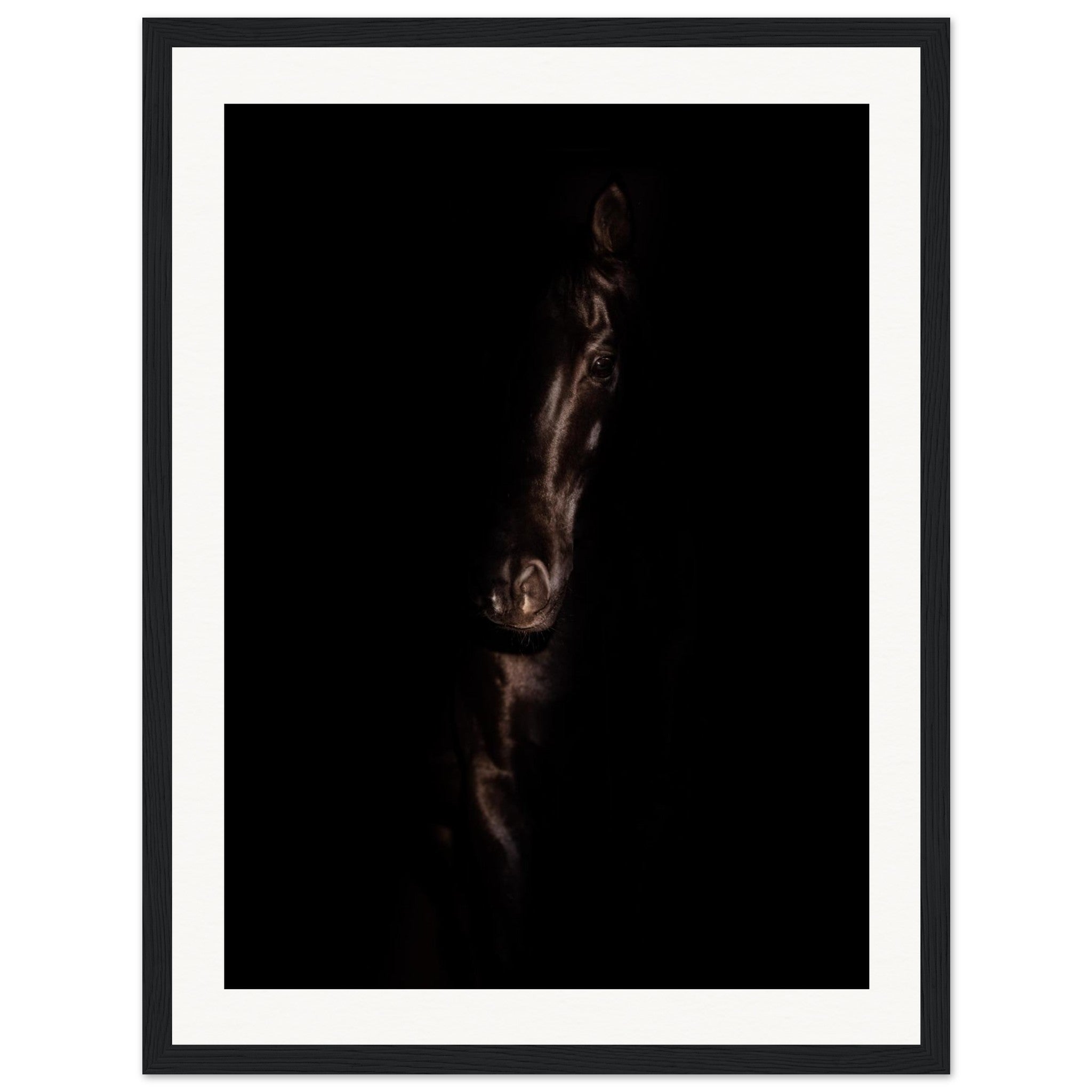 4bfd4f01-cd7a-4b42-89fb-437340d8ce8f