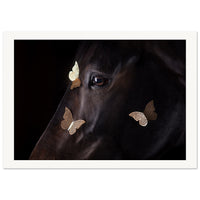 4c1a265a-c337-41f2-bb84-1a60424992e5