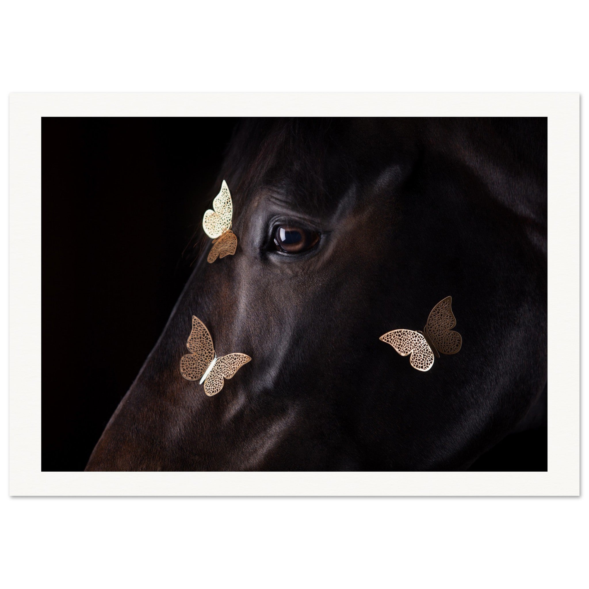 4c1a265a-c337-41f2-bb84-1a60424992e5