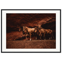 4c347bad-dd18-4845-b6f9-05099c84374b