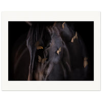 4c5ae74c-8880-4ff3-8e27-2d750a88305b