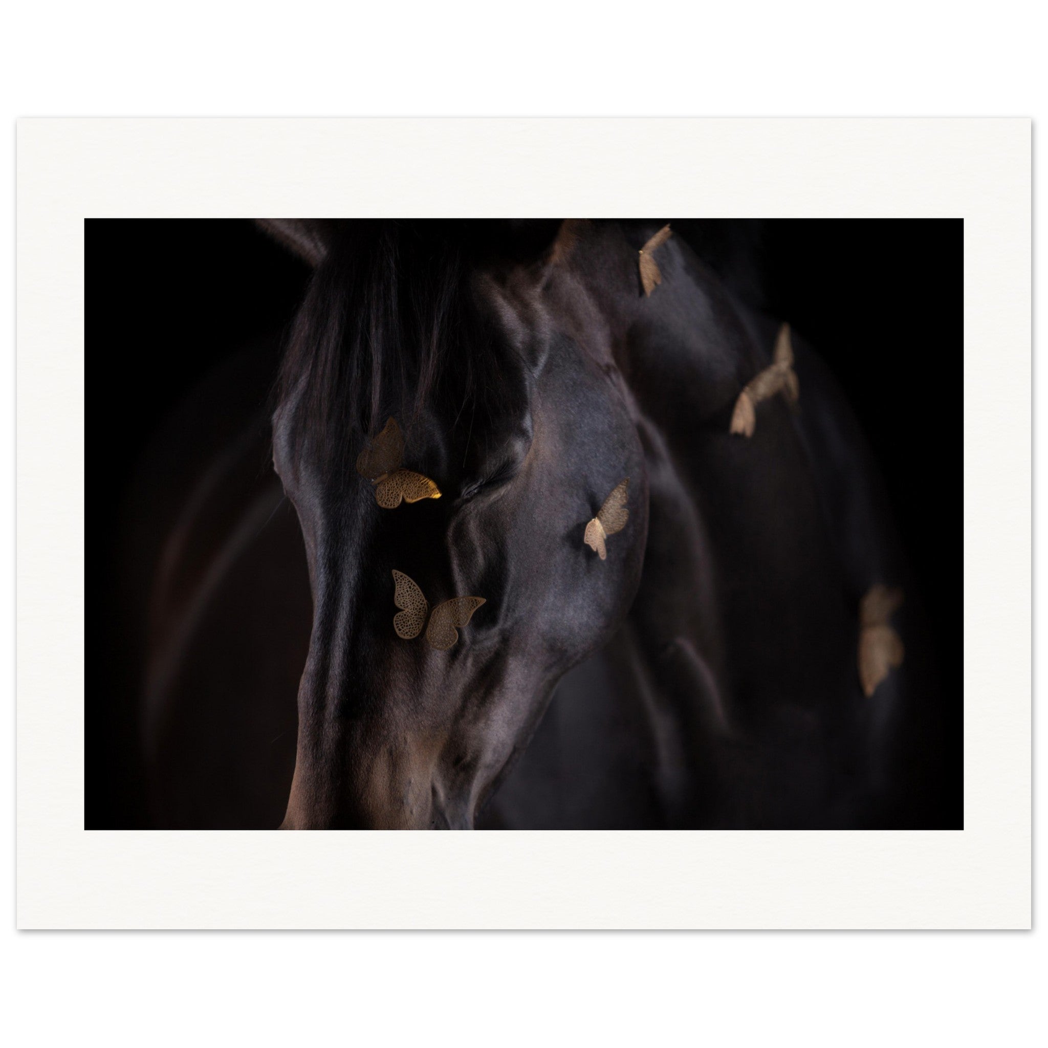 4c5ae74c-8880-4ff3-8e27-2d750a88305b