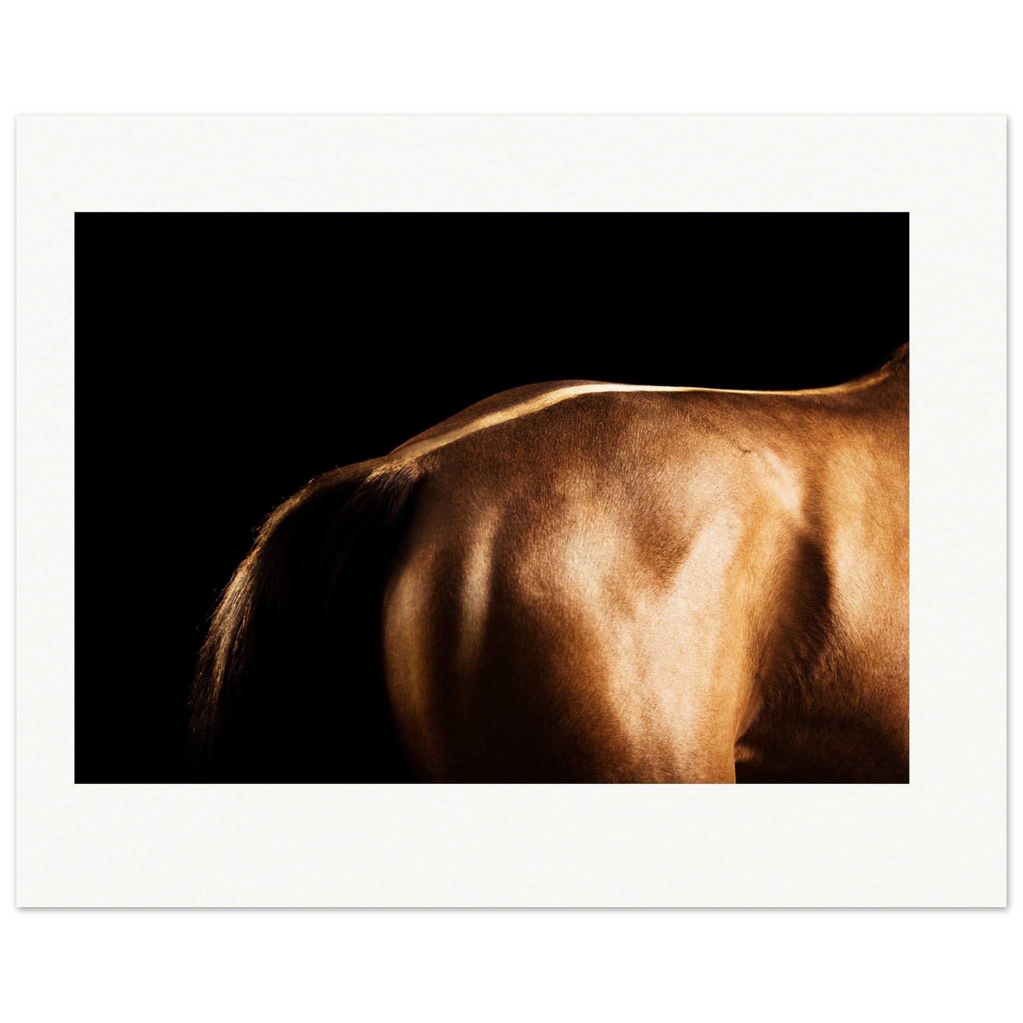 4c67896b-9846-49d3-9b98-be23b9eac500