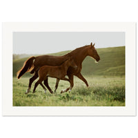 4c945a17-173c-4ee4-969b-75e1471fc6aa