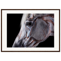 4ca83c2d-e1ca-4ce9-bfcd-302965d3a693