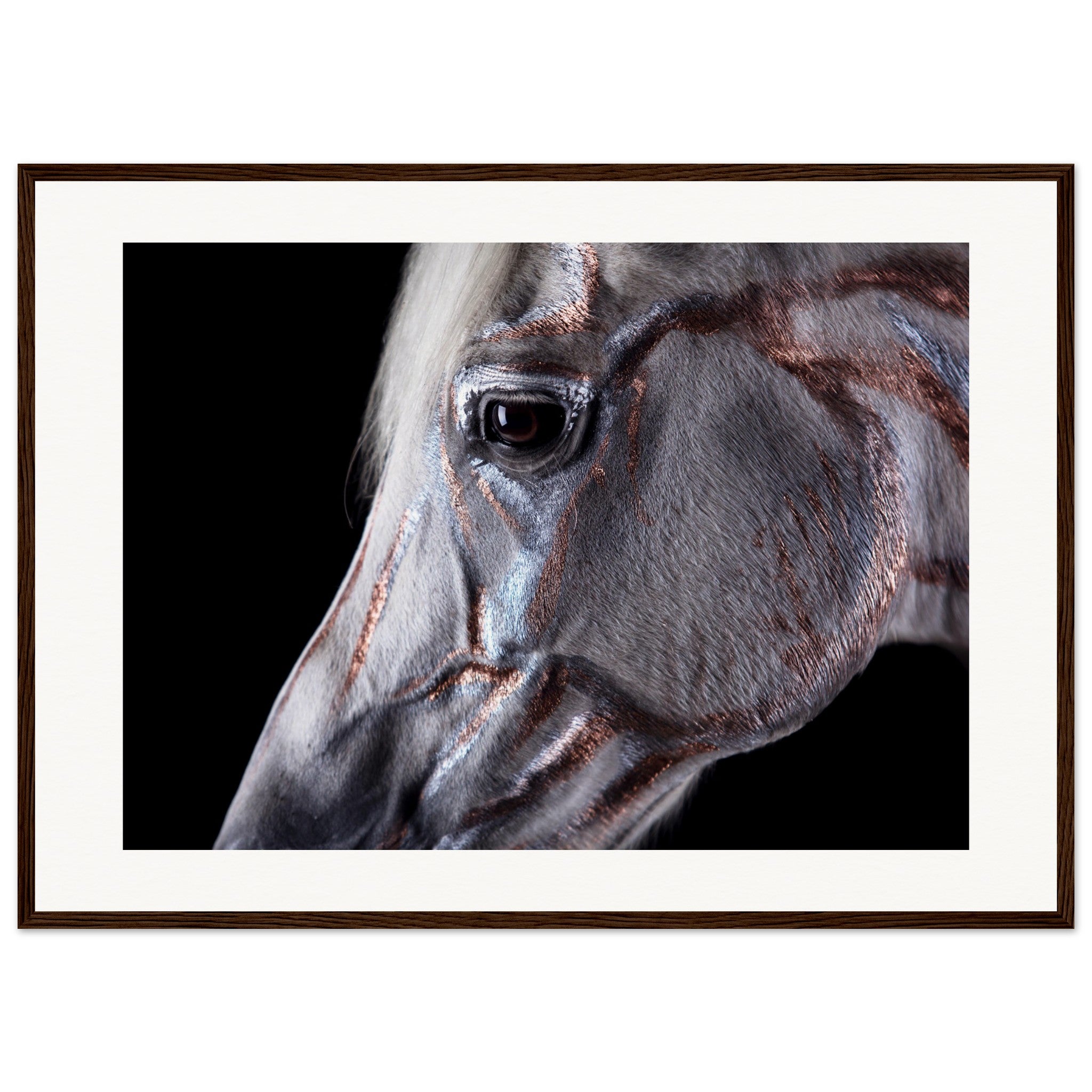 4ca83c2d-e1ca-4ce9-bfcd-302965d3a693