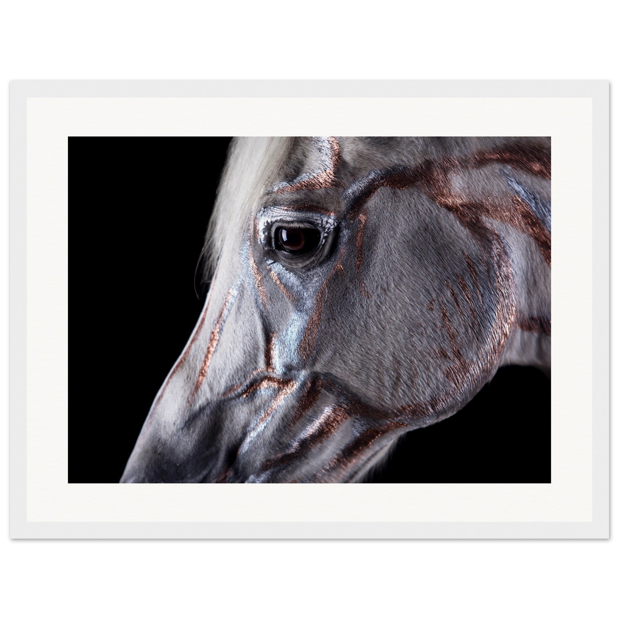 4cba250b-62a1-4a80-8e0f-3627531c8a5e