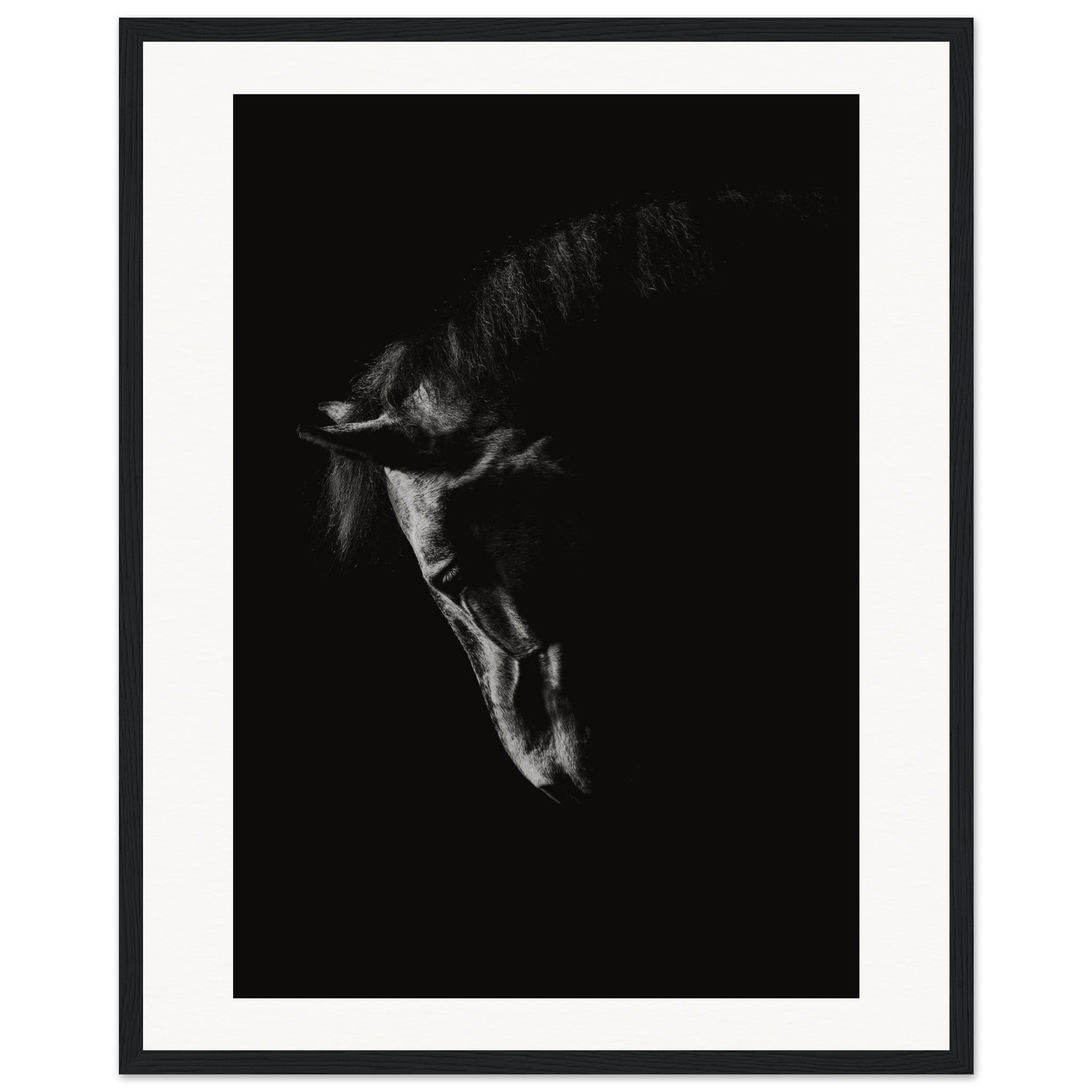 4d0a6bb3-76cb-4e37-baf9-ddd856ed841e