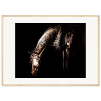 4d2ae795-3f1e-482b-a396-0ad083484ecf