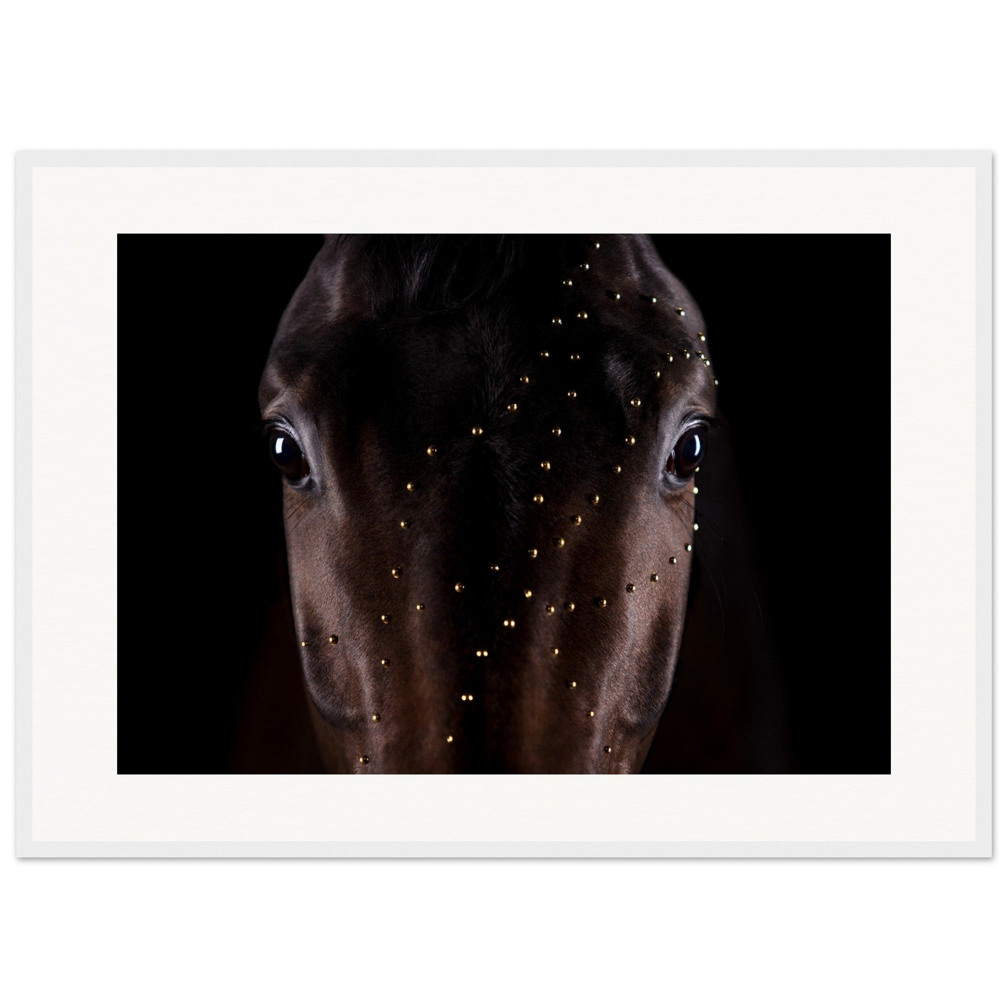 4d3ec138-321f-4e87-b738-11d9f71b2ae1