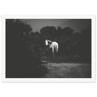 4da7c9a0-a419-4fc5-96c4-56f8c1bb3884