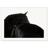 4dc33a49-64dd-4194-8ebb-f3b037dd3683