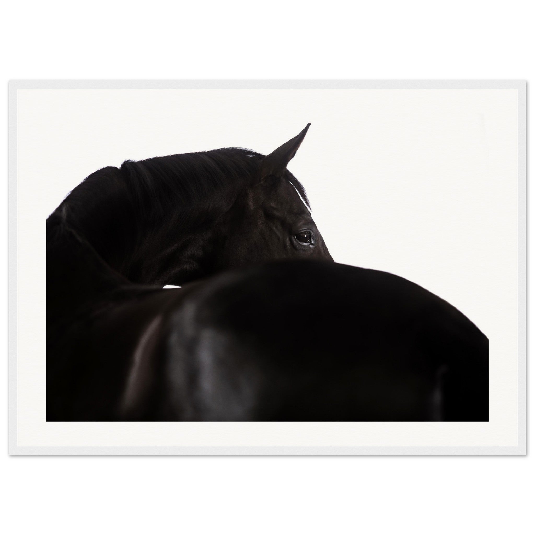 4dc33a49-64dd-4194-8ebb-f3b037dd3683