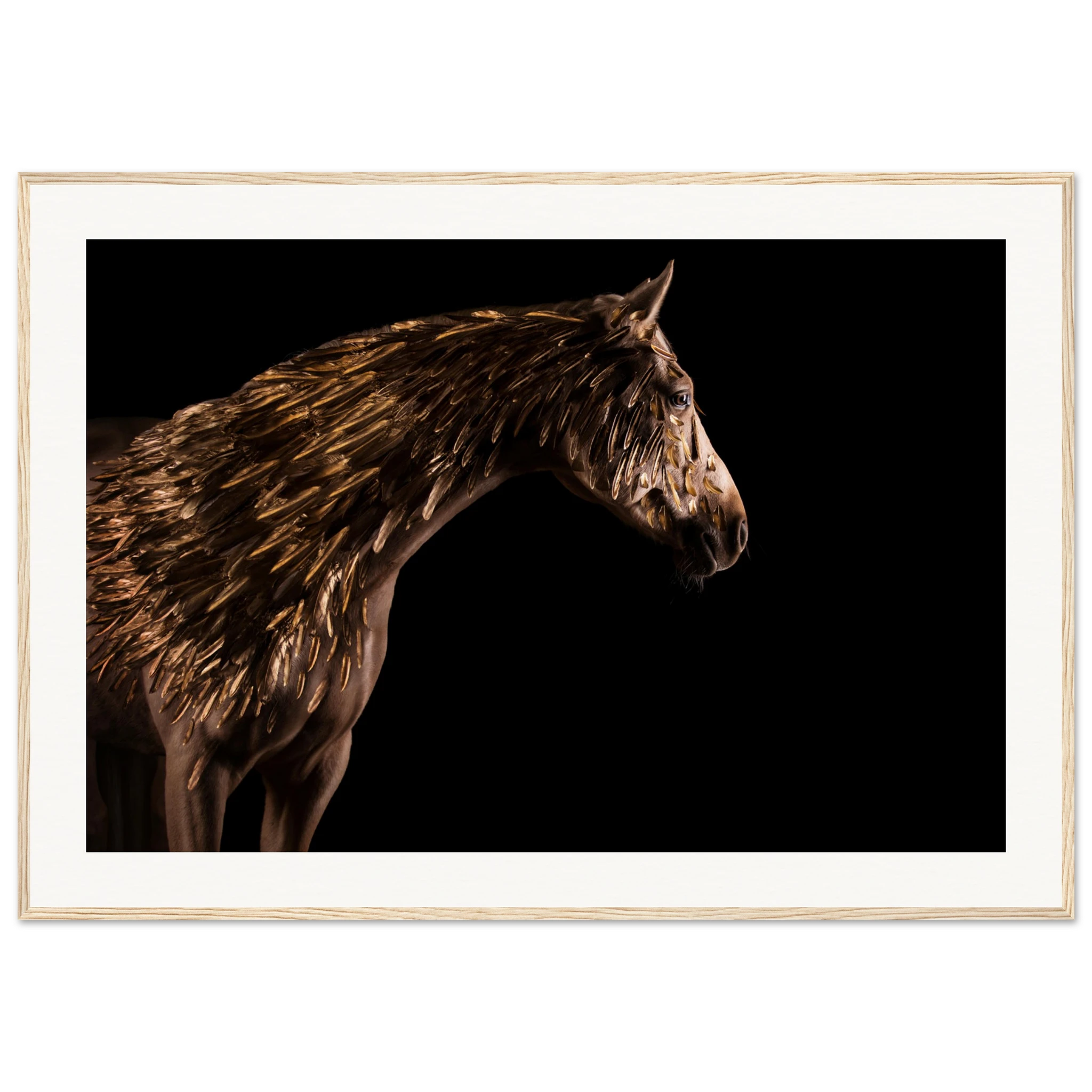 4ddc7809-0de5-494d-ac2b-003213208ce5