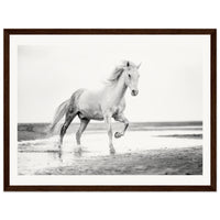 4e47dc4b-82d6-453c-a3f7-2fdea57d2b82