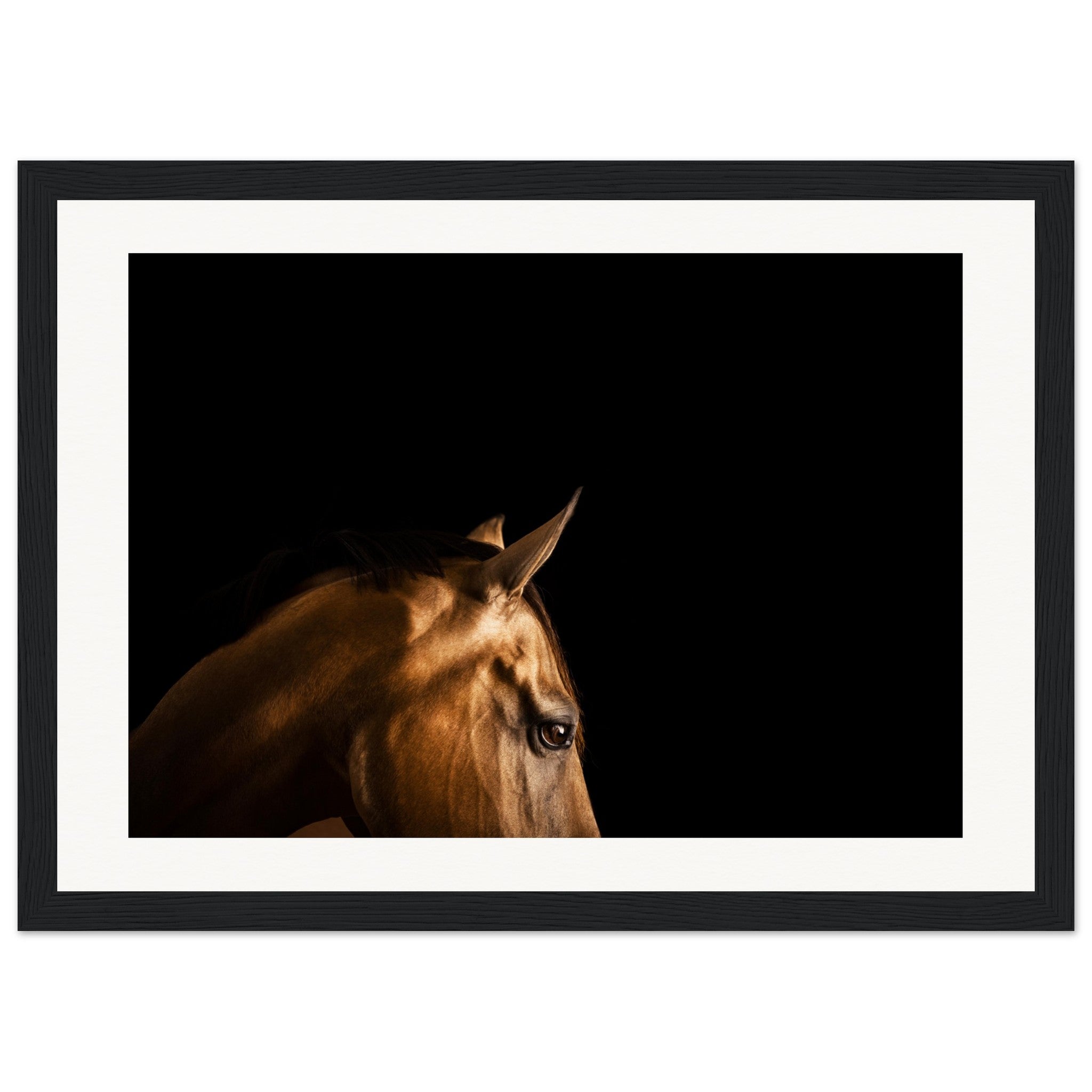 4e48959d-55fa-4caa-a38b-95c36fc15894