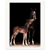 4e723937-599d-4c73-9977-459bb31be459