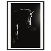 4e8b5396-4a0e-43b7-84d2-19f70f6a98ed