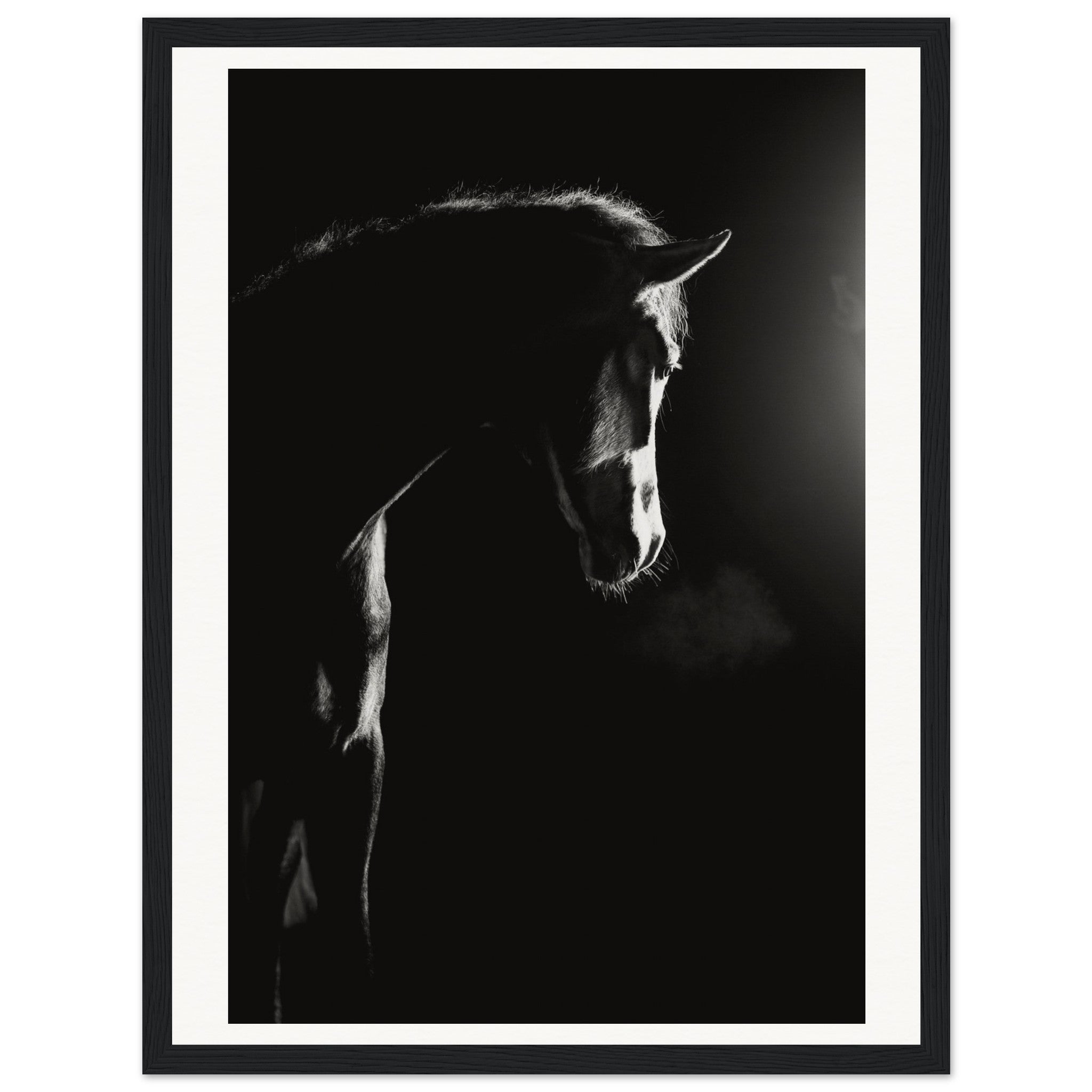 4e8b5396-4a0e-43b7-84d2-19f70f6a98ed