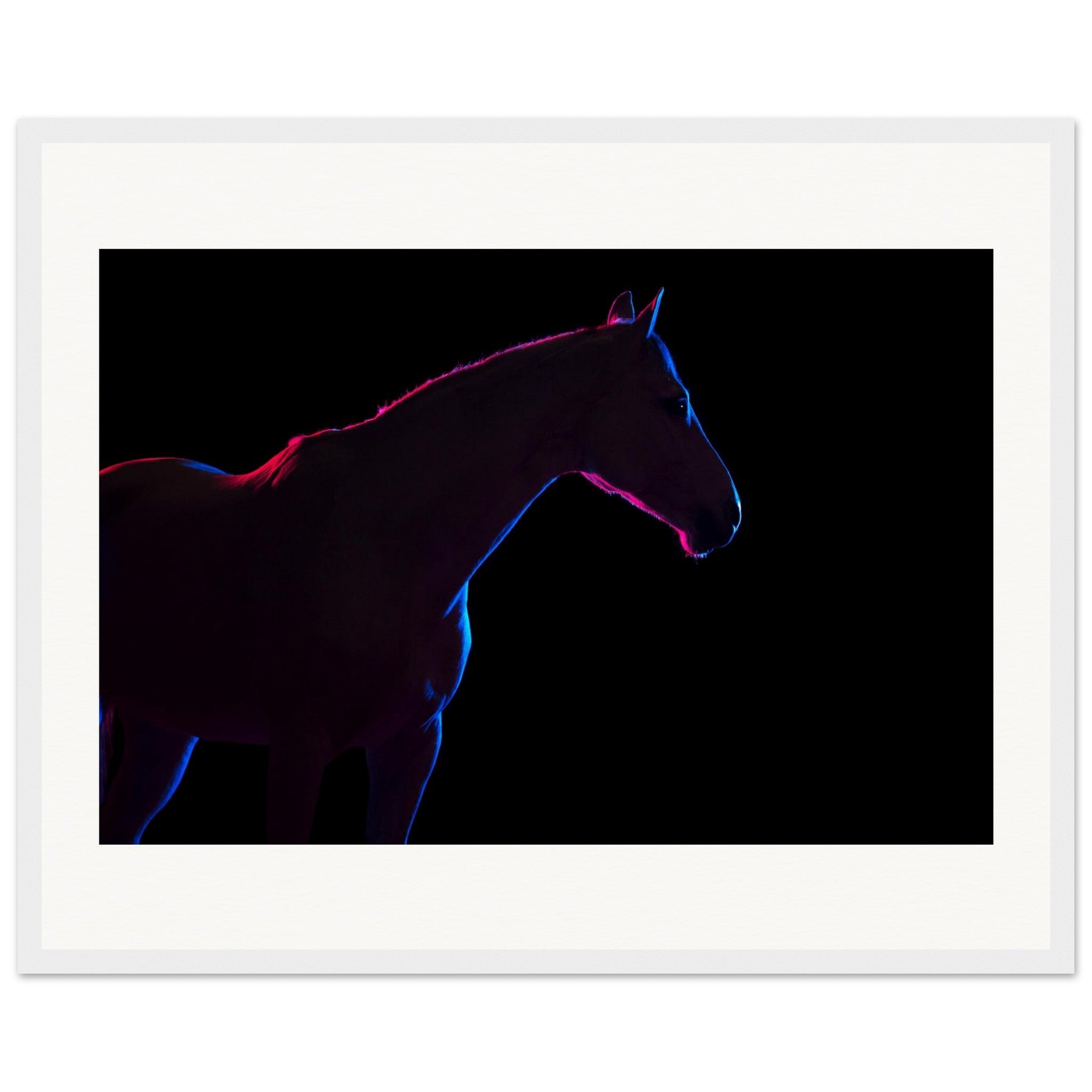 4ea4c1b5-8610-4d23-a2c4-0a21e8a60c87