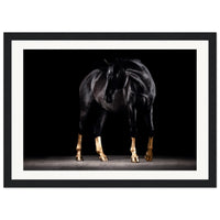 4ea8974b-606b-4a51-9efa-88fb7e61eae0