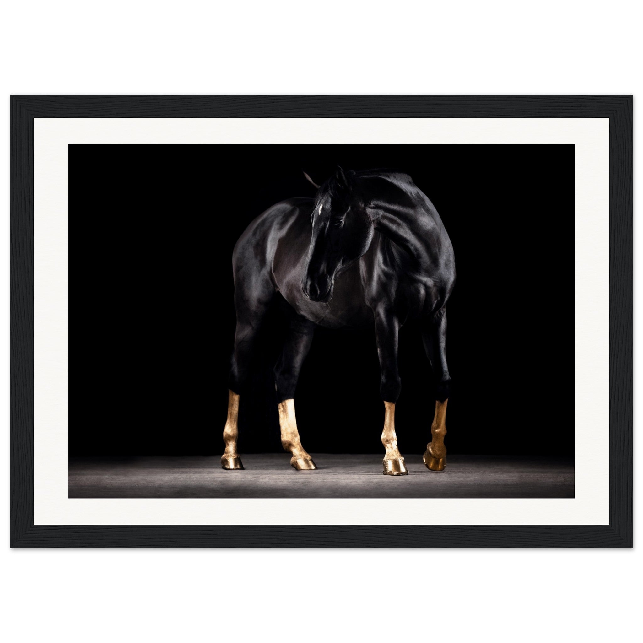 4ea8974b-606b-4a51-9efa-88fb7e61eae0