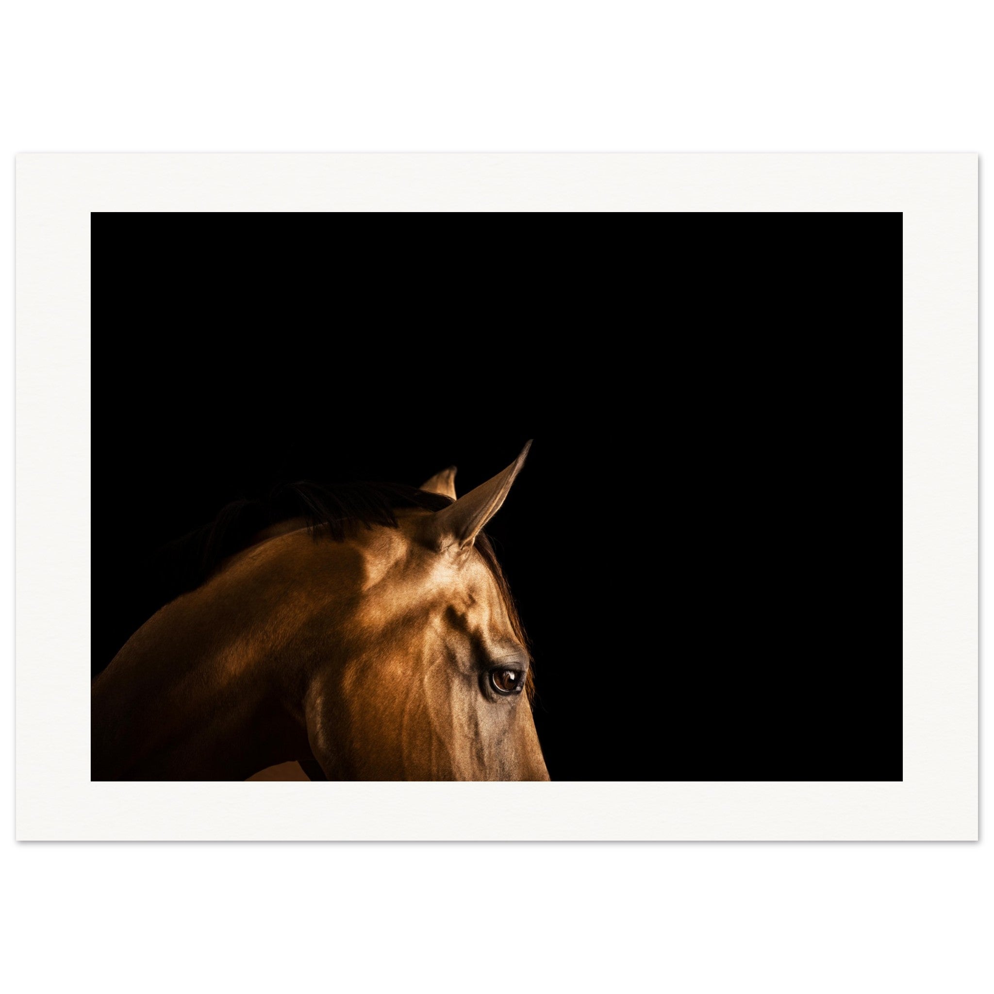 4ec69ae6-f78a-4279-85ef-9585337b70d9