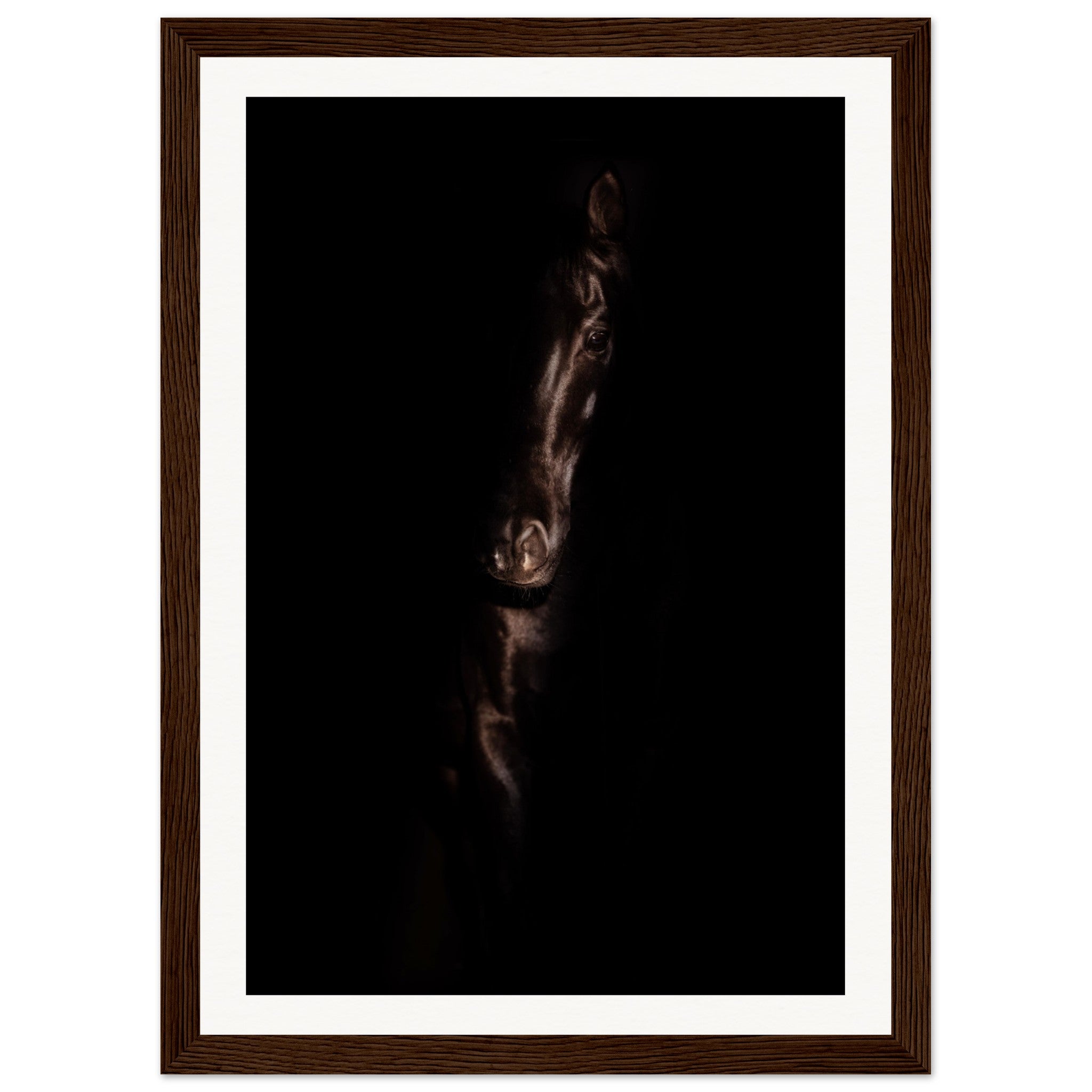 4f00e602-5b52-46d2-a413-1a22c9f51d47