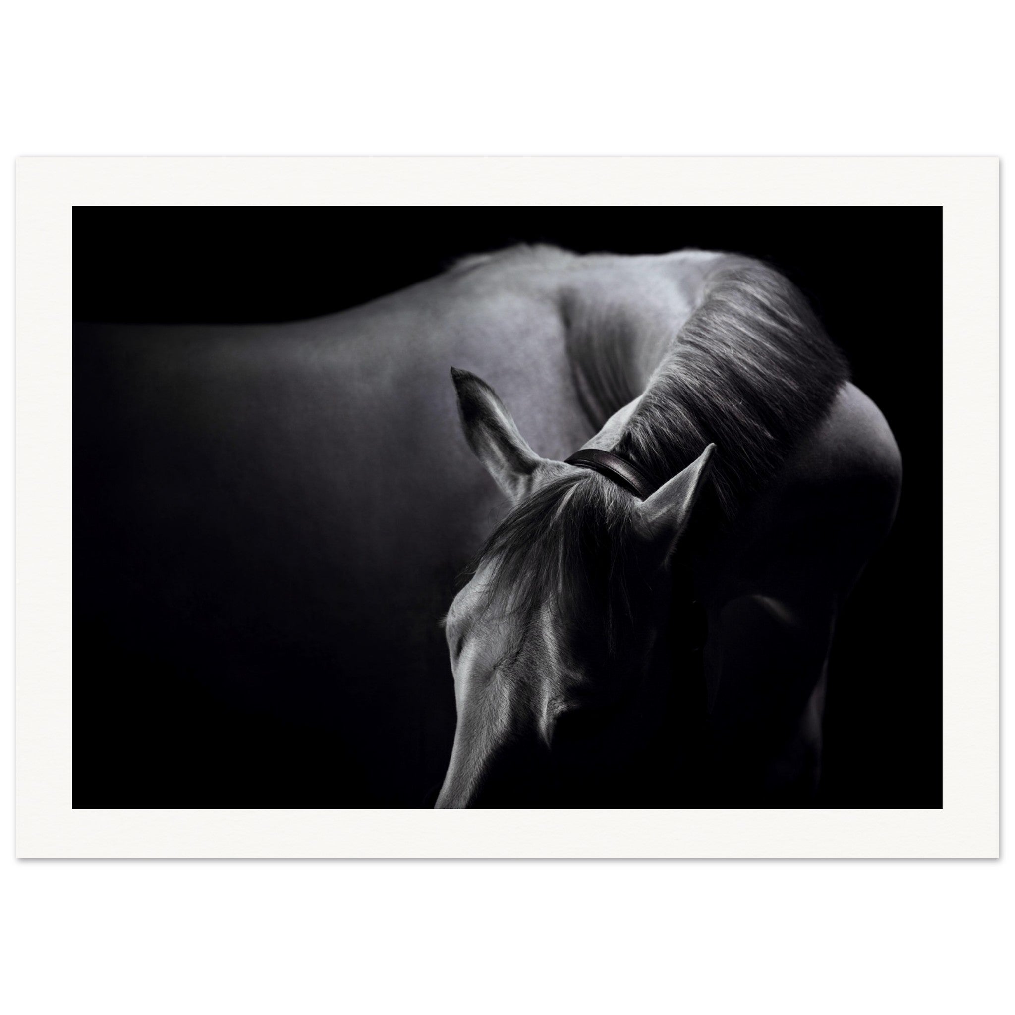 4f0fda7f-df81-4d00-a570-ffd311224312