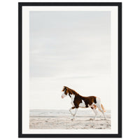 4f226eb2-3f64-4d74-8181-f0caa635c4f3