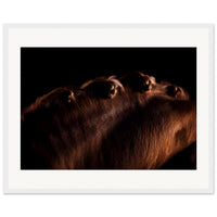 4f2f4e98-2a1c-4e35-a8c5-cafa0b926767