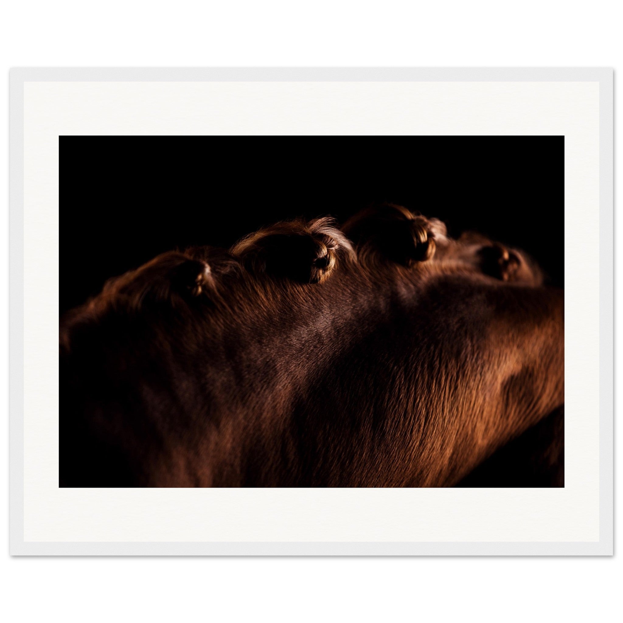 4f2f4e98-2a1c-4e35-a8c5-cafa0b926767