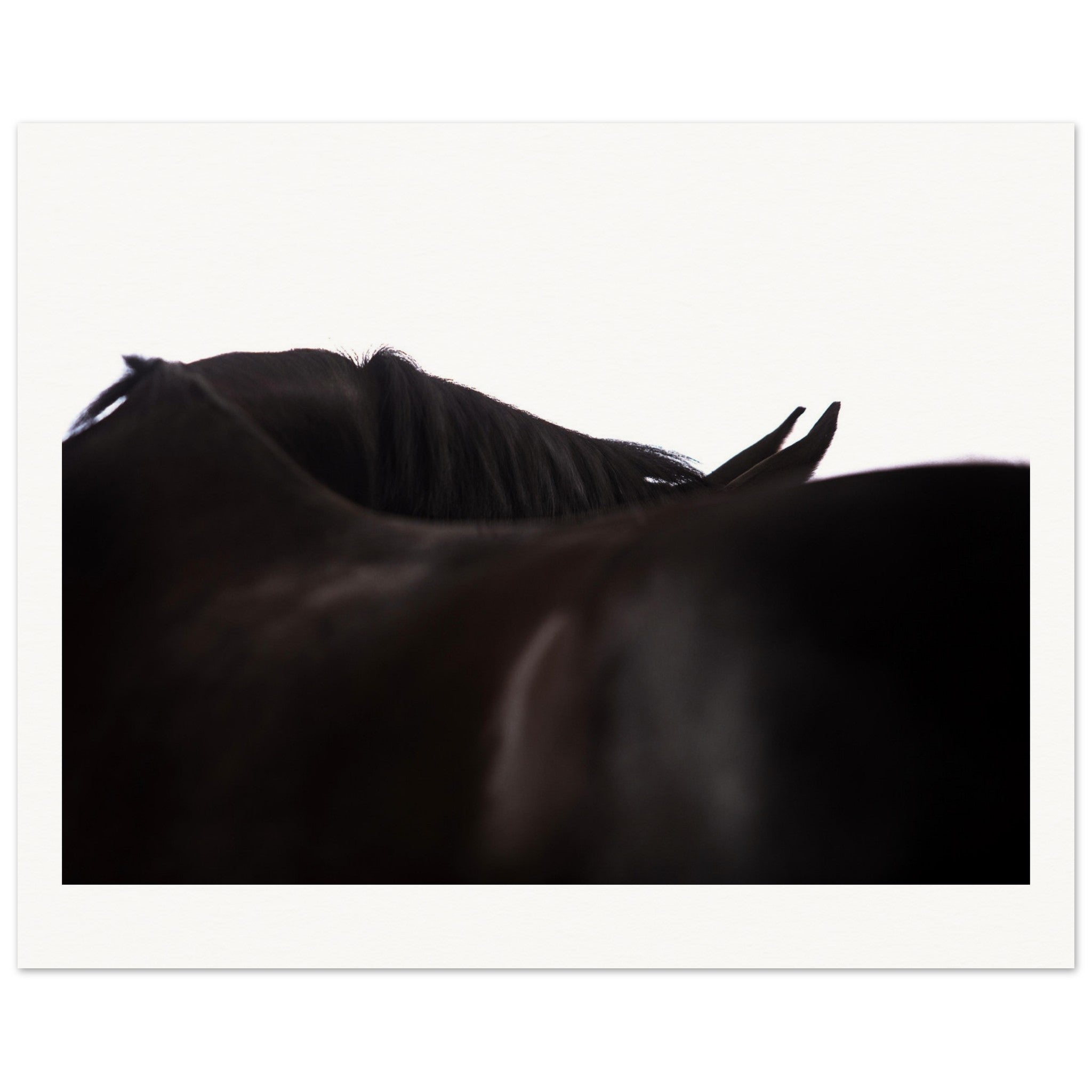 4f672b6e-7585-4b7a-a4aa-13b6fb7a2d3c