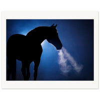 4f898b6b-522a-496a-923d-88e681de5ea8