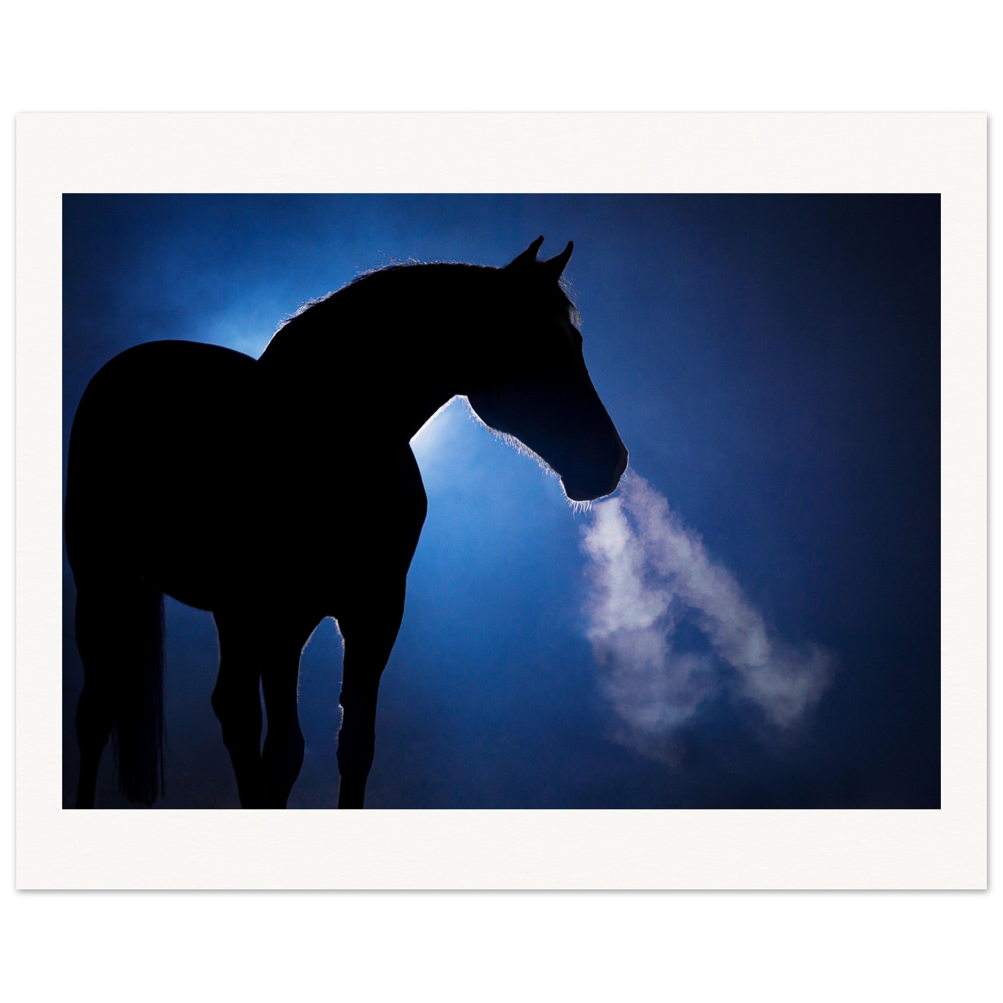 4f898b6b-522a-496a-923d-88e681de5ea8