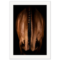 4fb13df5-178e-4845-8ac4-806913aa38ef