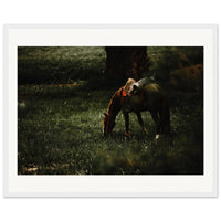 4fe6534c-45ce-42be-ac2b-71e9e1649e8b