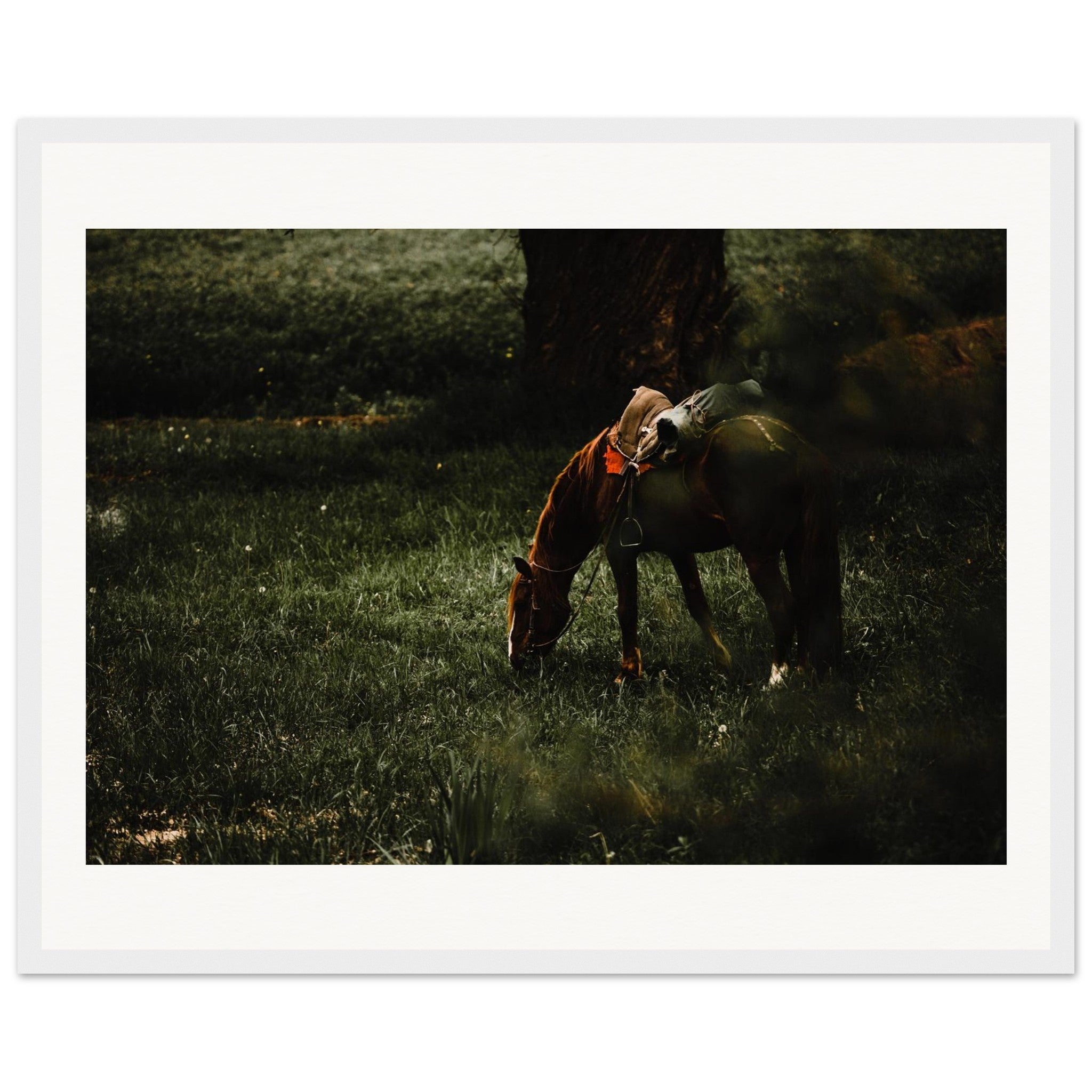 4fe6534c-45ce-42be-ac2b-71e9e1649e8b