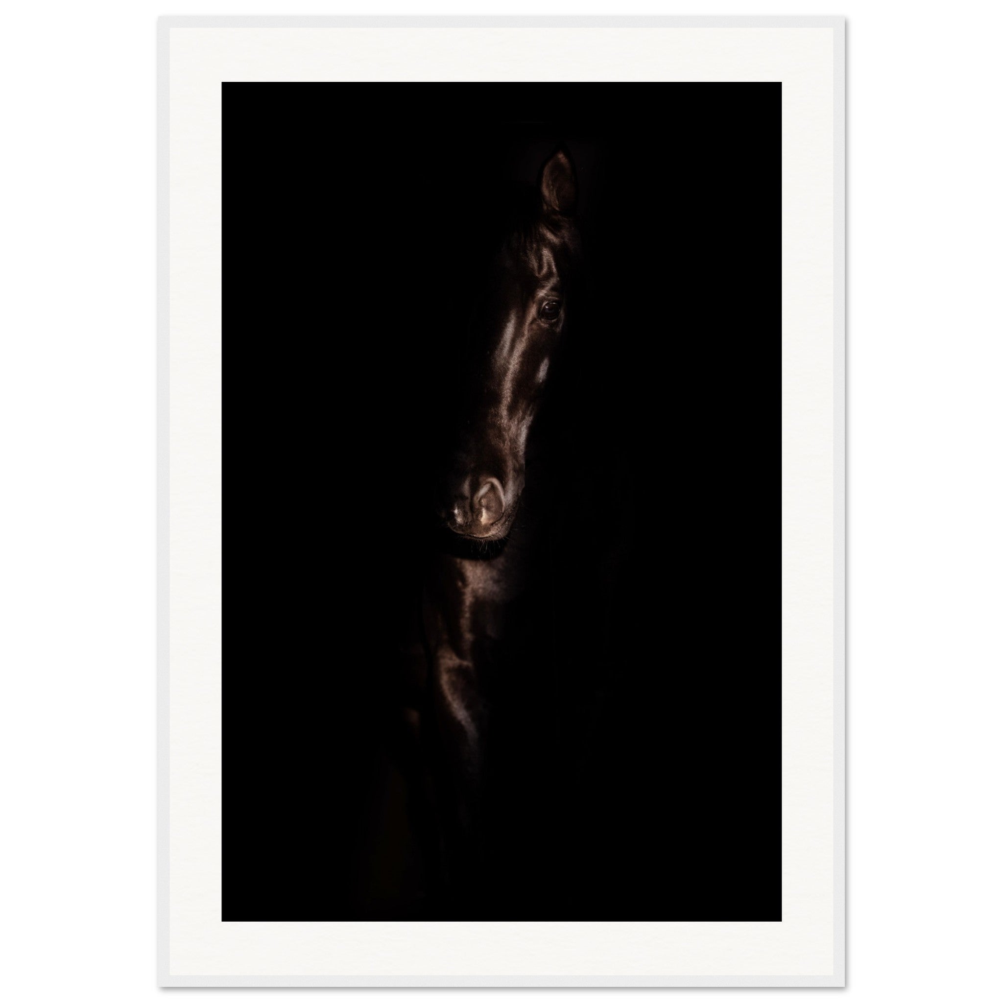 500a0731-e19e-447f-b3d4-fbc0b3bfb3e7