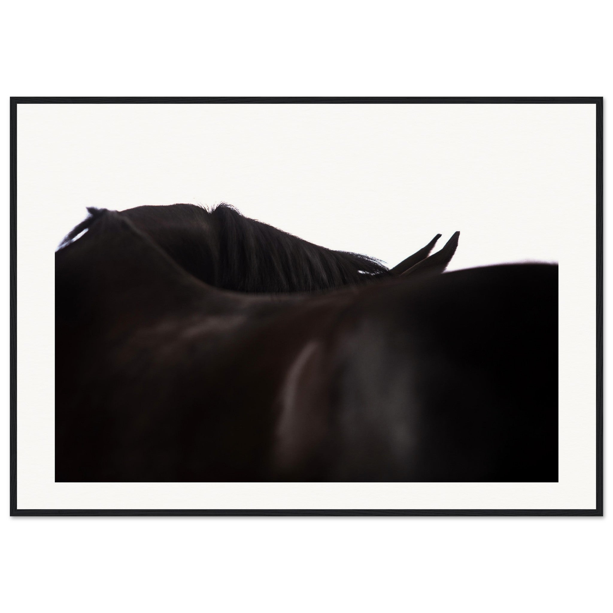 501c30f1-b814-41ae-be3f-af441c089c23