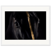 5022c129-6edb-4f9d-8338-0cf612c1850a