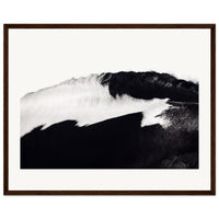 50253c88-1fb3-4ae5-86a8-488c52674130