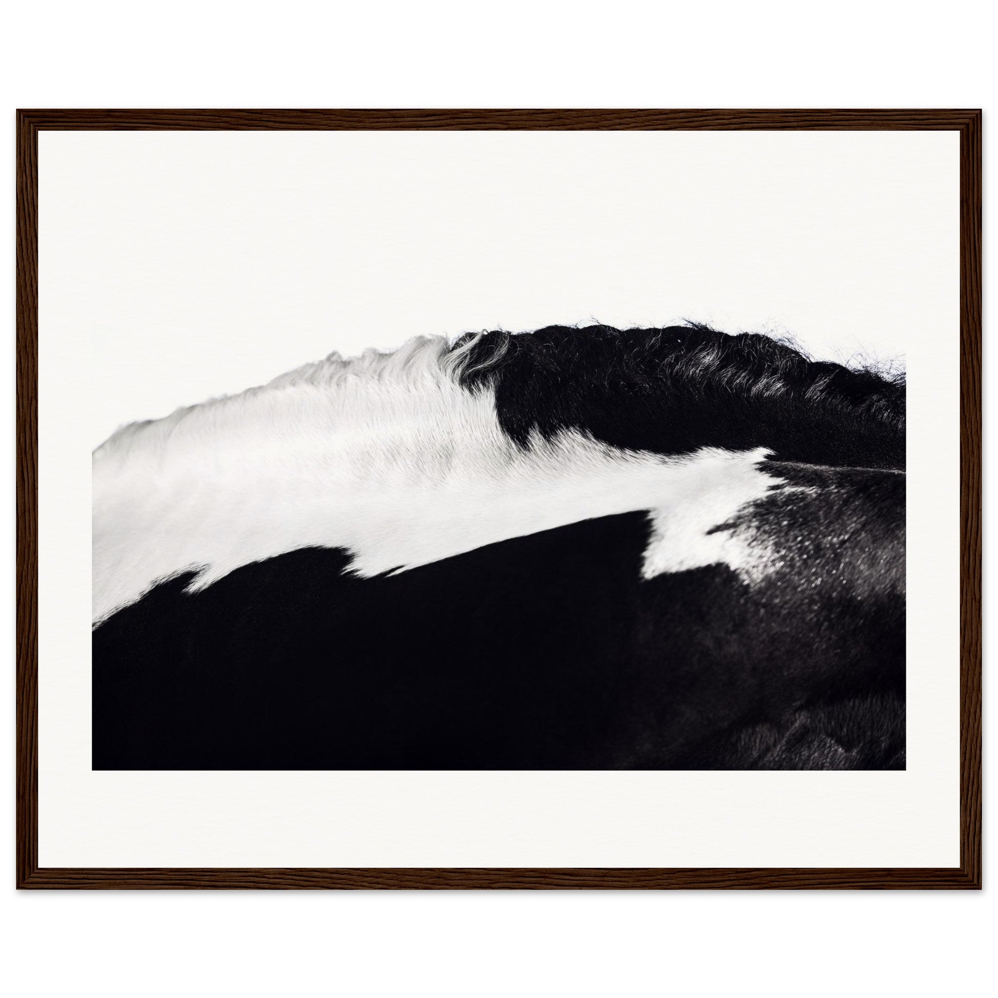 50253c88-1fb3-4ae5-86a8-488c52674130