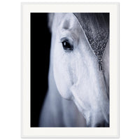 50717c4e-8918-48ae-b085-d6c312430c62