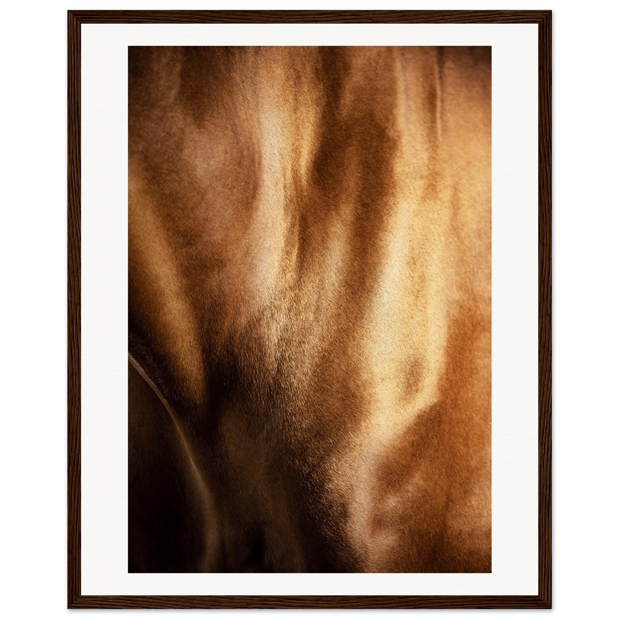 508d4711-a8ab-47b2-aa53-b7cda05aacfb