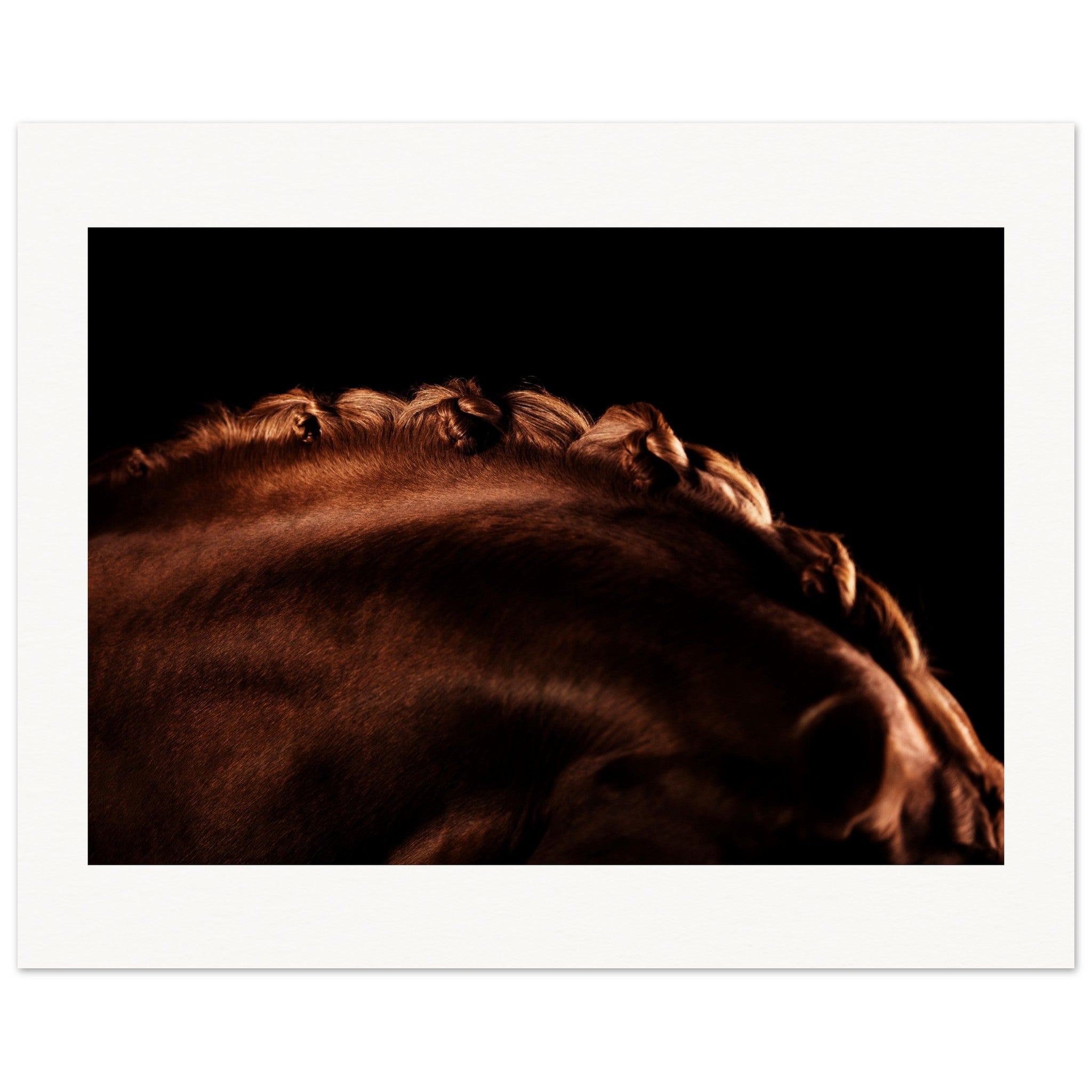 509c589b-3d9e-47bb-b361-1e2115a974a9