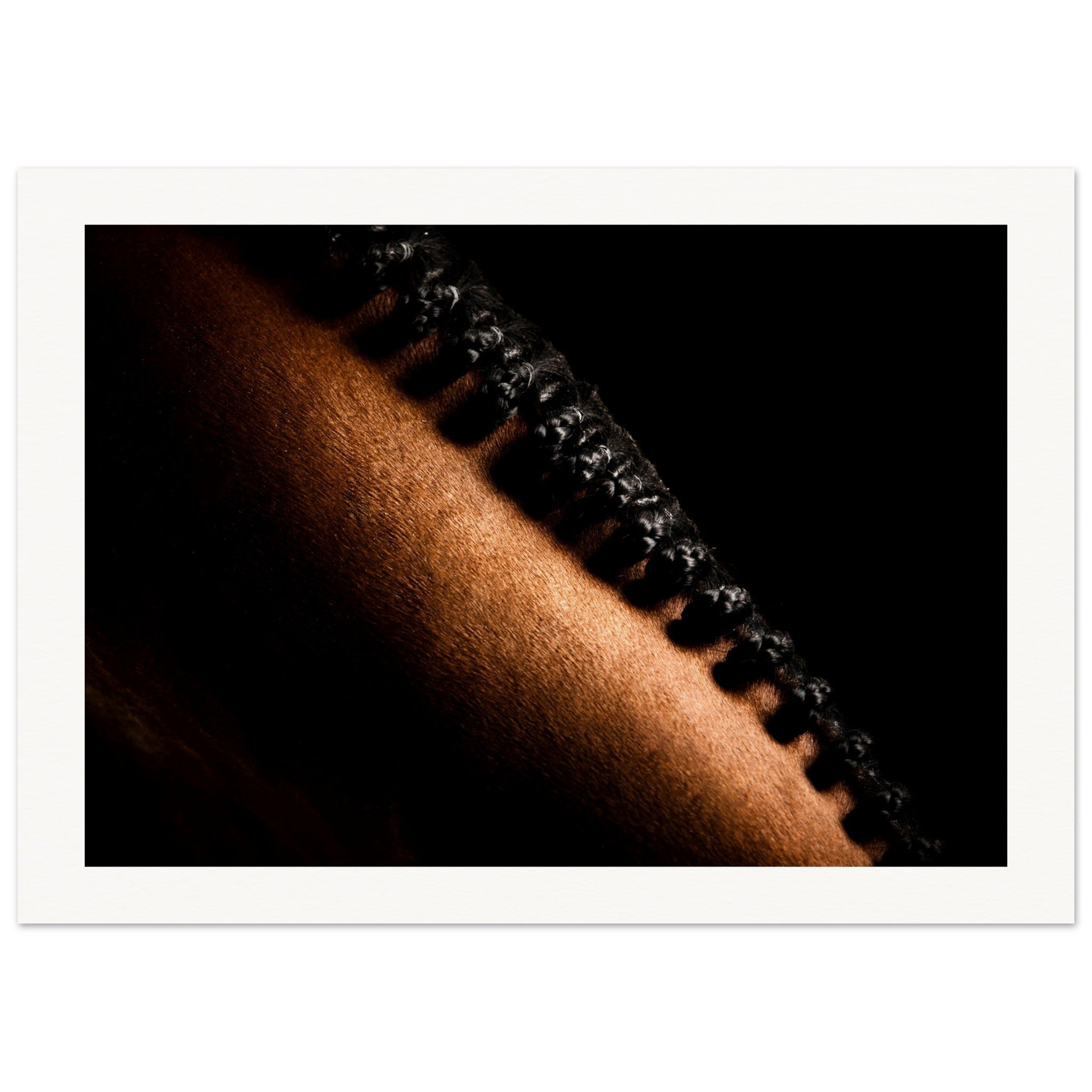 50a0c71f-c6a6-49d5-bedb-797959711653