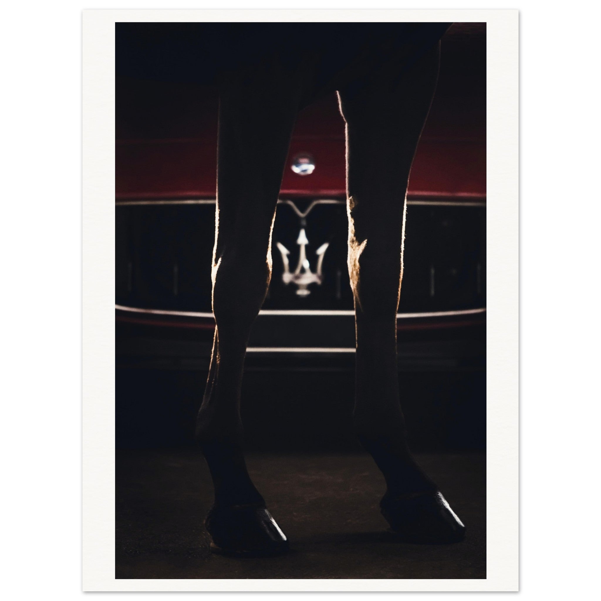 50aaf0e9-a720-4733-bd69-dee32a507274