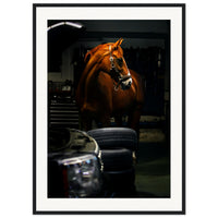 50c1b70a-0527-4671-9c41-d0e41681d96a